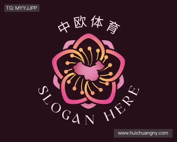 认识zoty中欧